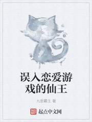 ����������Ϸ������